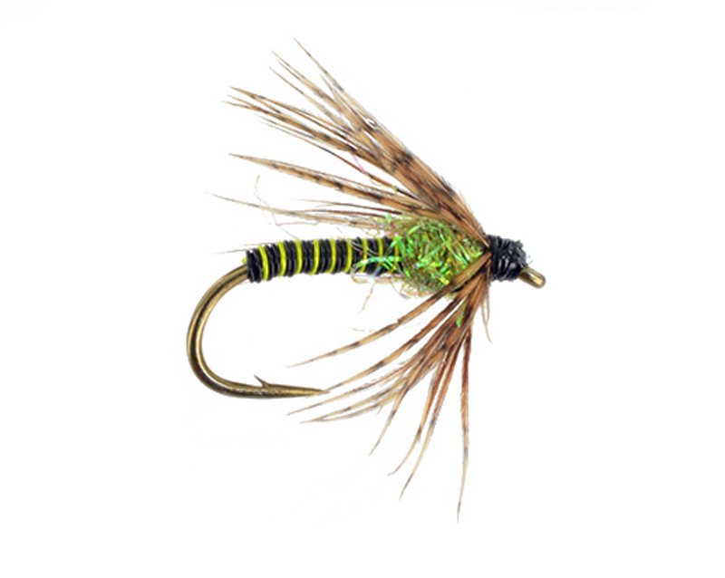 Tailwater Soft Hackle Caddis Green - 16 image 0