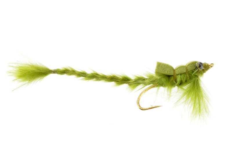 Hartman's Dodger Damsel Olive - 14 image 0