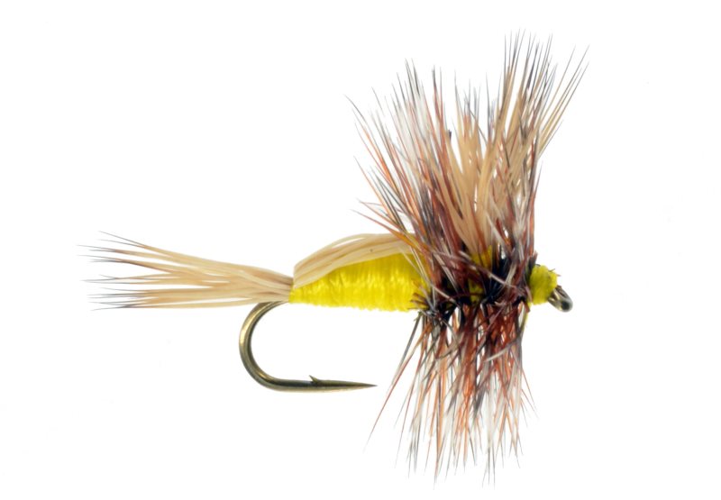Humpy Yellow - 18 image 0
