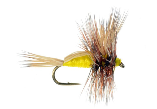 Humpy Yellow - 12 image 0