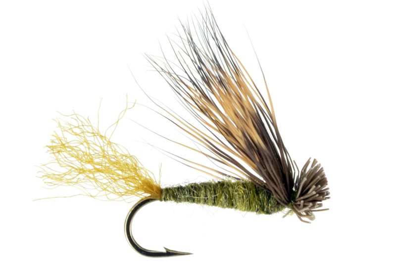 X Caddis Olive - 18 image 0