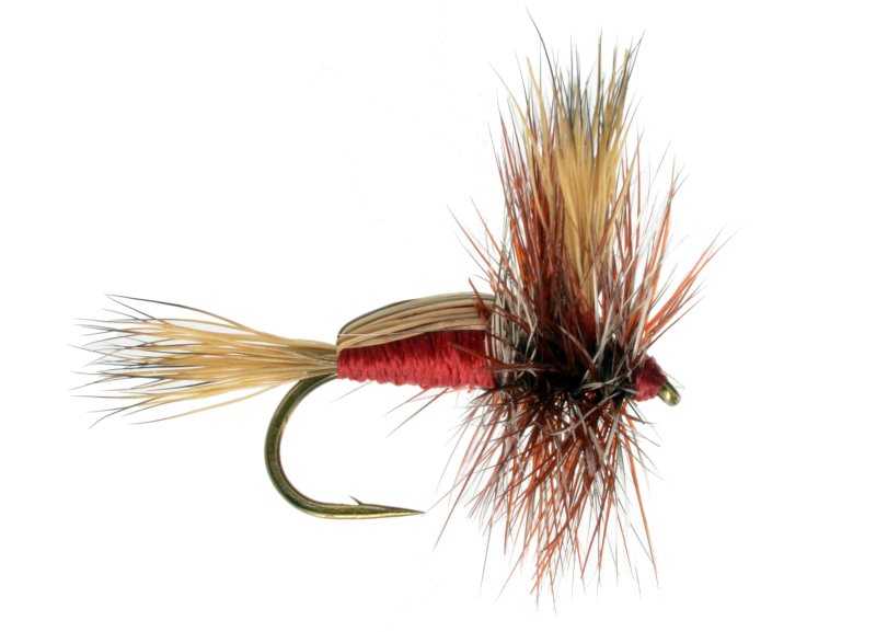 Humpy Red - 14 image 0