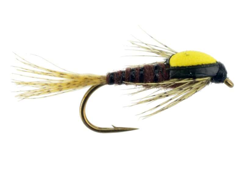 Splitback PMD - 18 image 0