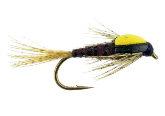 Splitback PMD - 18 image 0
