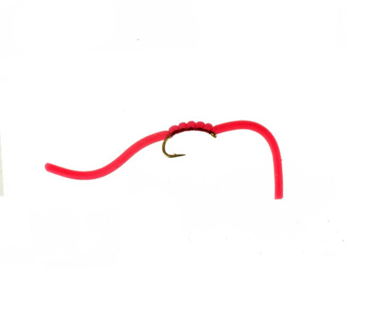 Squirmy San Wormie Red - 12 image 0