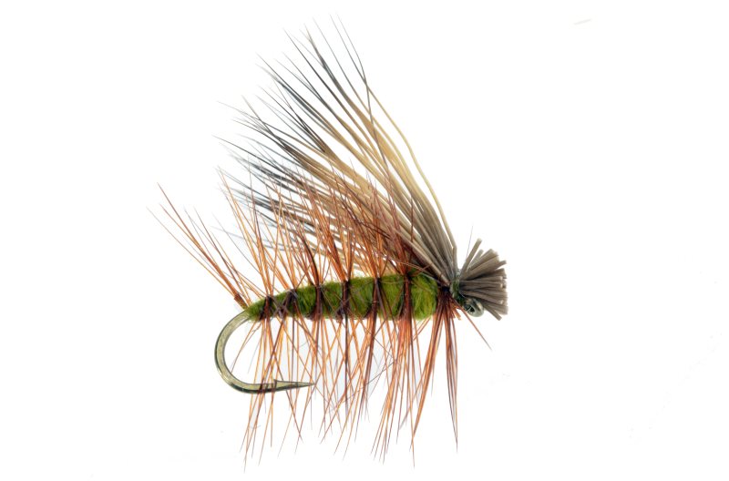 Elk Hair Caddis Olive - 14 image 0