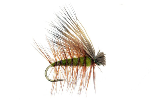 Elk Hair Caddis Olive - 14 image 0
