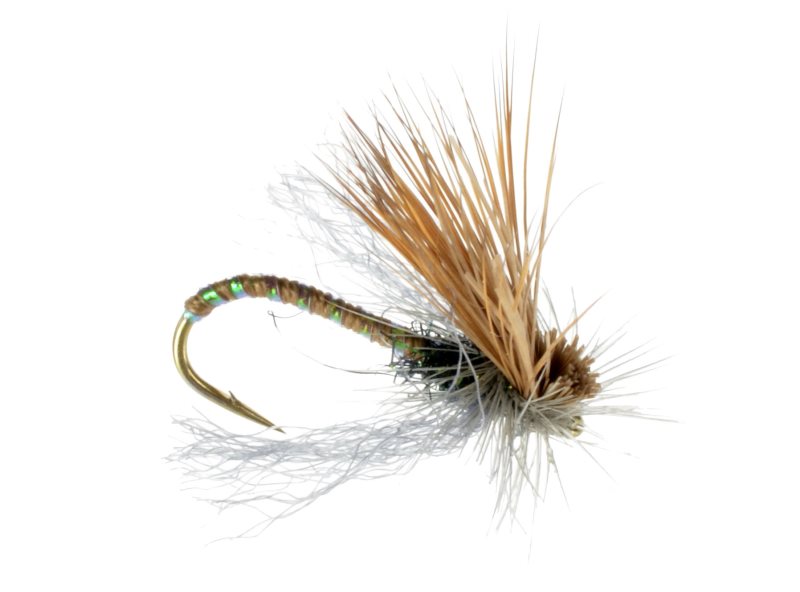 Missing Link Caddis - 18 image 0