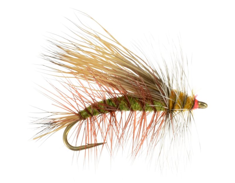 Stimulator Olive - 10 image 0