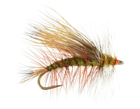 Stimulator Olive - 10 image 0
