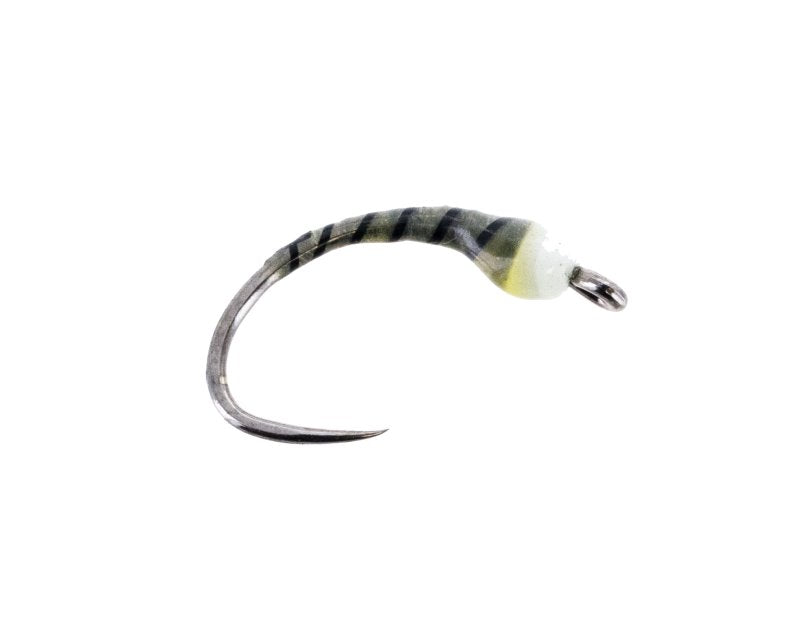 Algea Eater - 16 image 0