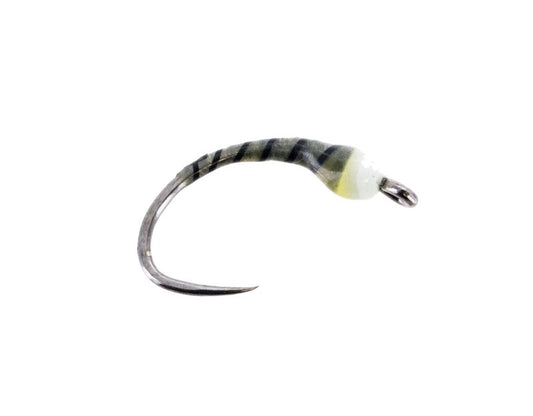 Algea Eater - 16 image 0