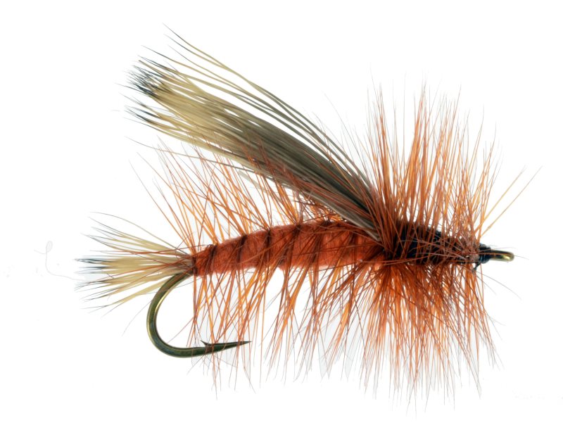 Improved Sofa Pillow - 6 image 0