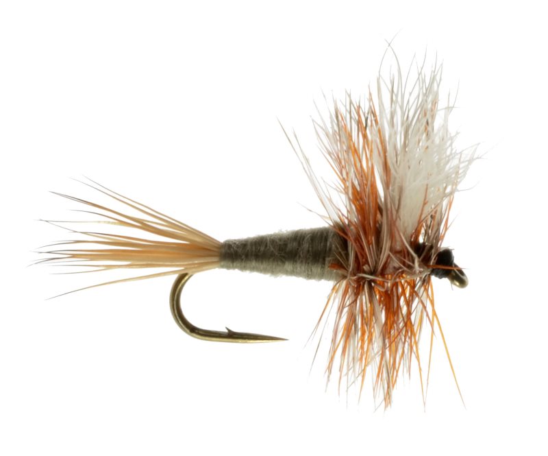 Adams Wulff - 16 image 0
