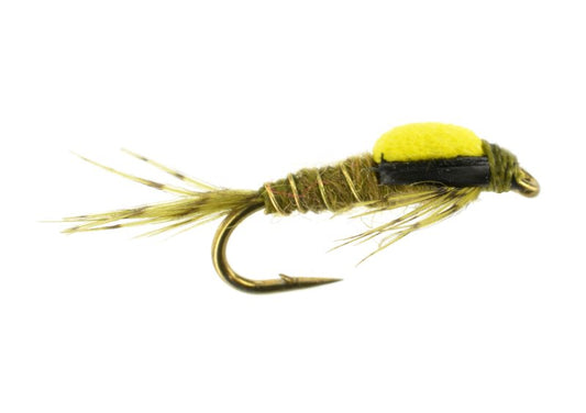 Split Back BWO - 18 image 0
