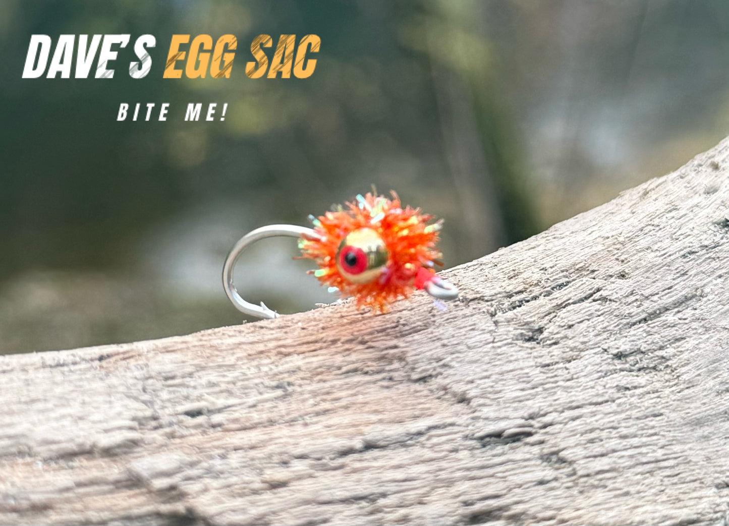 Dave’s Egg Sac image 0