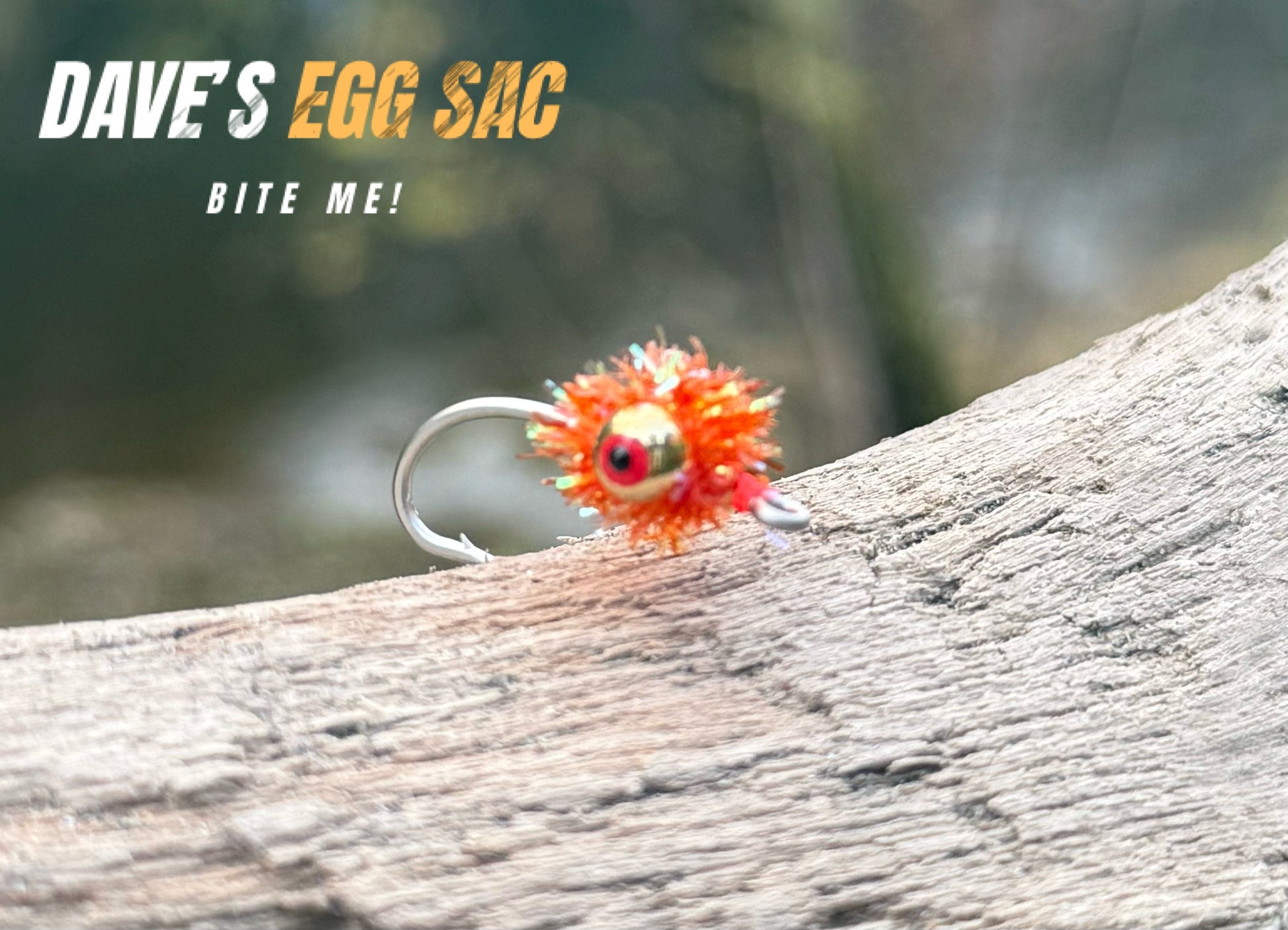 Dave’s Egg Sac image 0