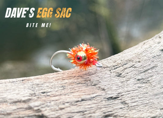 Dave’s Egg Sac image 0