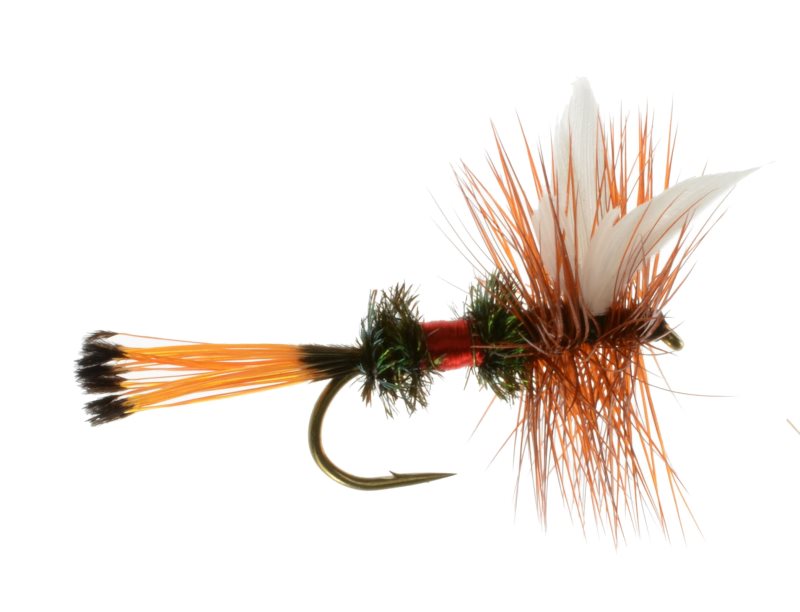Royal Coachman - 16 image 0